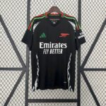 Mens Arsenal 2024/25 Away Jersey