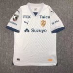 Shimizu S-Pulse 2024/25 Away Jersey 2