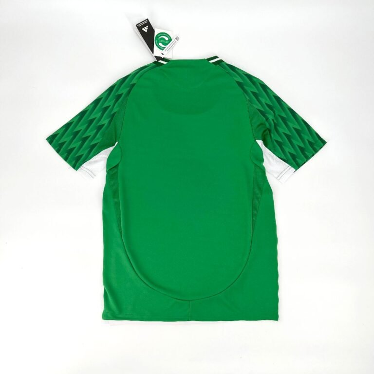 Mens Palmeiras 2024/25 Green Jersey Player Version 1