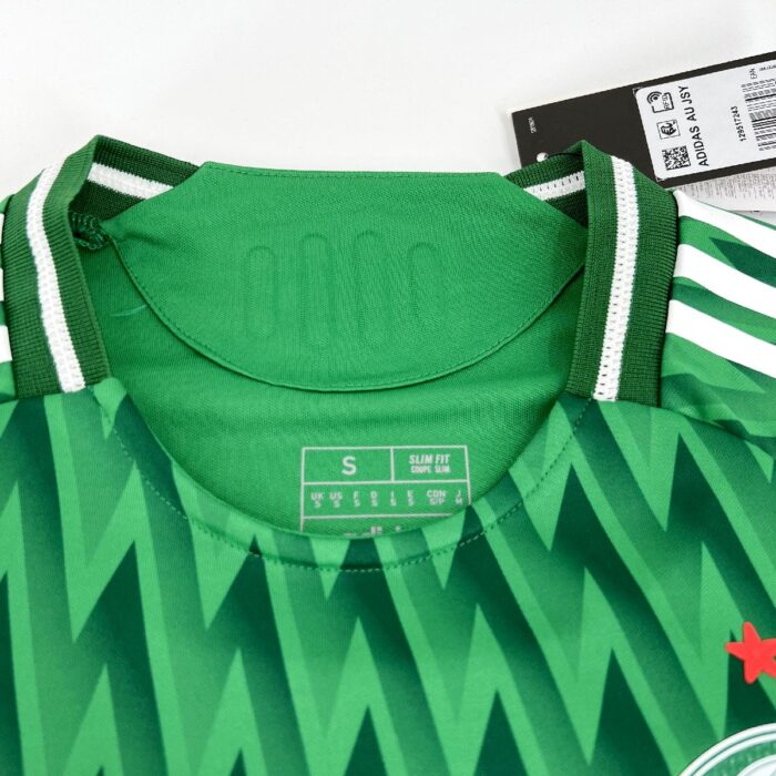 Mens Palmeiras 2024/25 Green Jersey Player Version 3
