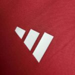 Mens S.C Internacional 2024/25 Pre-Match Jersey 5