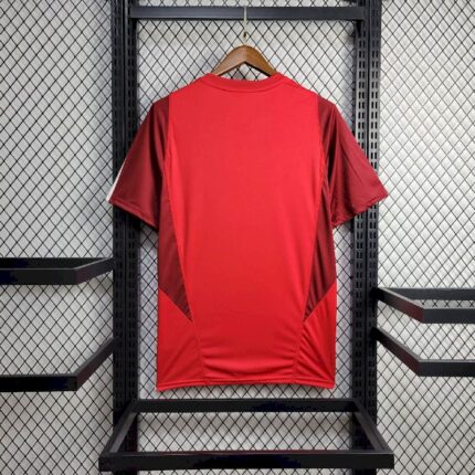 Mens S.C Internacional 2024/25 Pre-Match Jersey 1