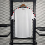Mens Santa Cruz FC 2023/24 Away Jersey 1