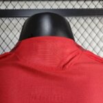 Mens Manchester United 2024-25 Jersey Player Version 5