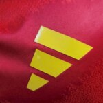 Mens Spain 2024/25 Home Jersey Player Version 2