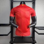 Mens Spain 2024/25 Home Jersey Player Version 6