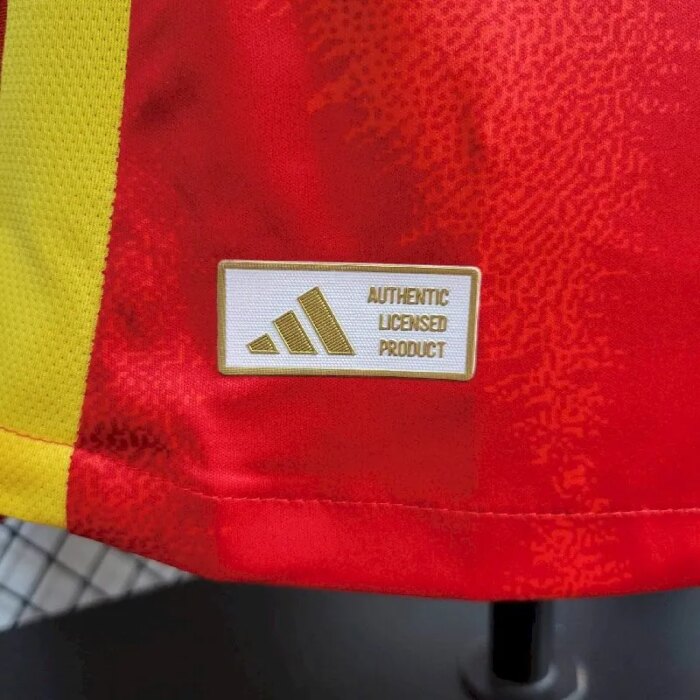 Mens Spain 2024/25 Home Jersey Player Version 5