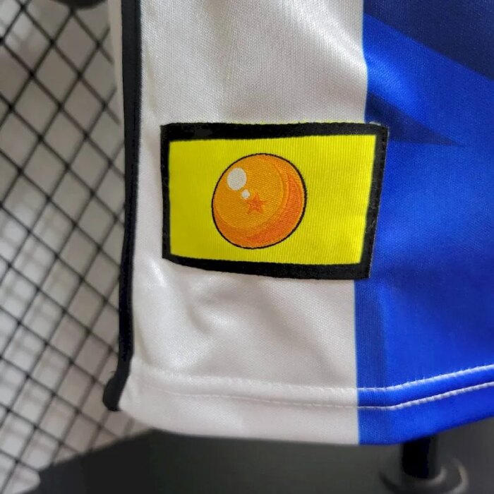 Mens Argentina 2024/25 Jersey Player Version 4