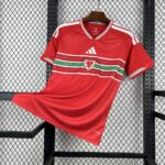 Mens Wales 2026 World Cup Home Jersey 8