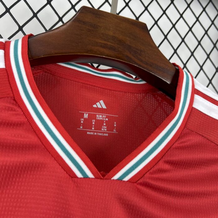 Mens Wales 2026 World Cup Home Jersey 7