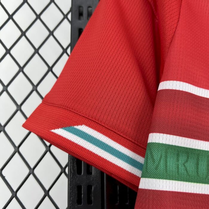 Mens Wales 2026 World Cup Home Jersey 6
