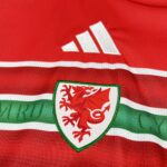 Mens Wales 2026 World Cup Home Jersey 5