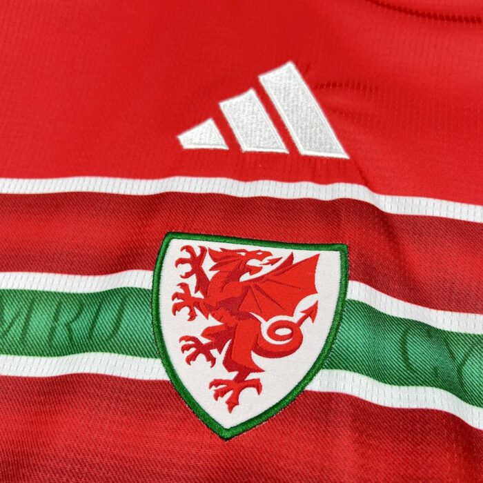 Mens Wales 2026 World Cup Home Jersey 5