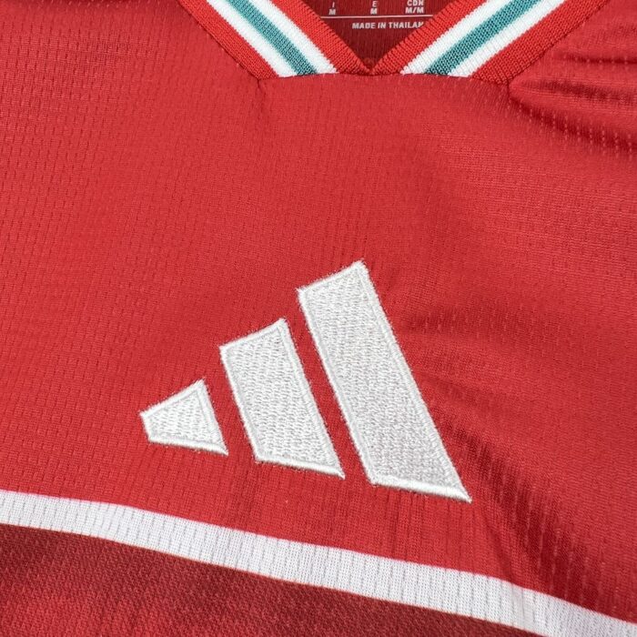 Mens Wales 2026 World Cup Home Jersey 4