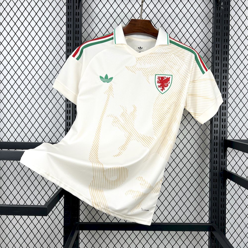 2025112714563852.jpg Mens Wales 2026 World Cup Away Jersey 9