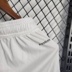 Mens Italy 2024/25 Home Shorts 2