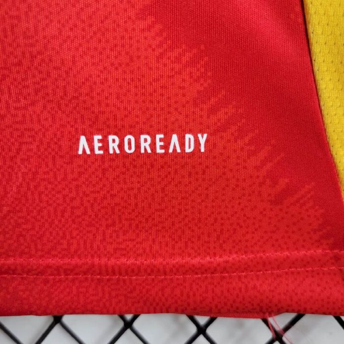 Mens Spain 2024/25 Home Jersey 9