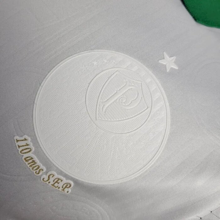 Mens Palmeiras 2024/25 Jersey Player Version 5