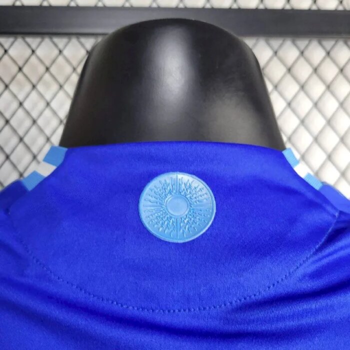 Mens Argentina 2024/25 Away Jersey Player Version 2
