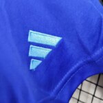 Mens Argentina 2024/25 Away Shorts 3