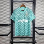 Mens Palmeiras 2024/25 Goalkeeper Jersey 1