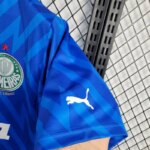 Mens Palmeiras 2024/25 Goalkeeper Jersey 4