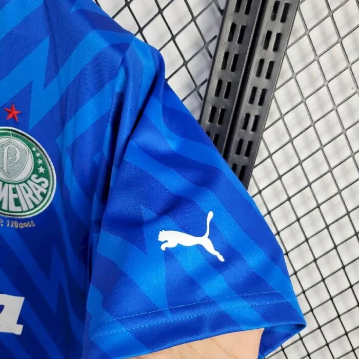 Mens Palmeiras 2024/25 Goalkeeper Jersey 4