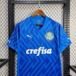 Mens Palmeiras 2024/25 Goalkeeper Jersey 8