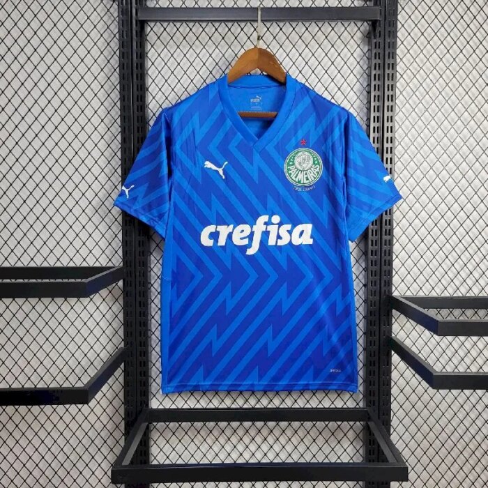 Mens Palmeiras 2024/25 Goalkeeper Jersey 1