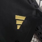 Mens Argentina 2024/25 Away Shorts 4