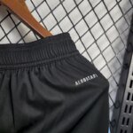 Mens Argentina 2024/25 Away Shorts 3