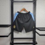 Mens Argentina 2024/25 Away Shorts