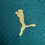 Kids Palmeiras 2024/25 Home Kit 6