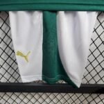Kids Palmeiras 2024/25 Home Kit 3