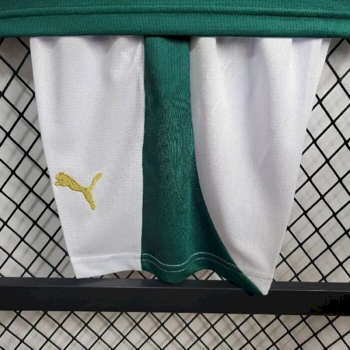 Kids Palmeiras 2024/25 Home Kit 3