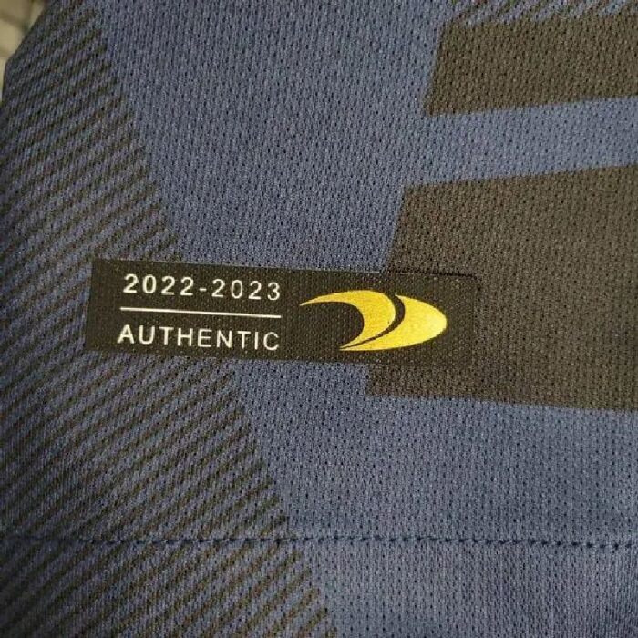 Mens Al Nassr 2023/24 Pre-Match Jersey 5