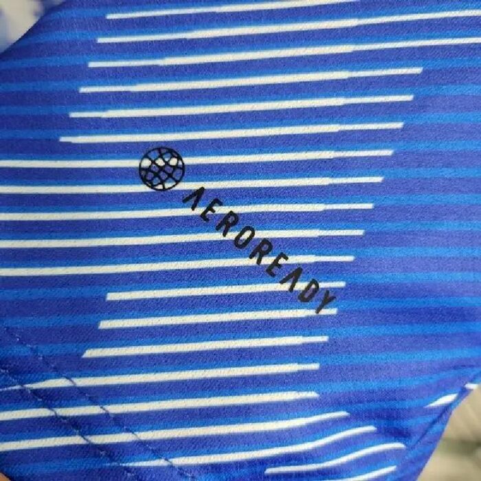 Mens Japan 2023/24 Jersey 5