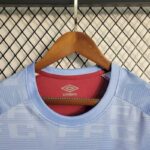 Mens Fluminense 2023/24 Pre-Match Jersey 3