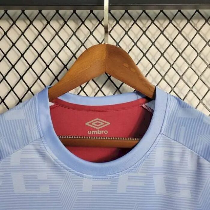 Mens Fluminense 2023/24 Pre-Match Jersey 3