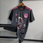Mens Japan 2023/24 Jersey 1
