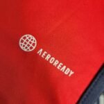 Mens Colo Colo 2023/24 Away Jersey 7