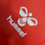 Mens Denmark 2023/24 Home Jersey 4