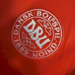 Mens Denmark 2023/24 Home Jersey 5