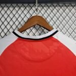 Mens Denmark 2023/24 Home Jersey 8