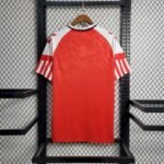 Mens Denmark 2023/24 Home Jersey 9