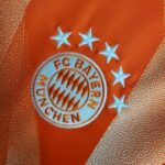 Mens Bayern Munich 2023/24 Pre-Match Jersey 4