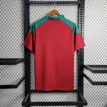 Mens Fluminense 2023/24 Pre-Match Jersey 3