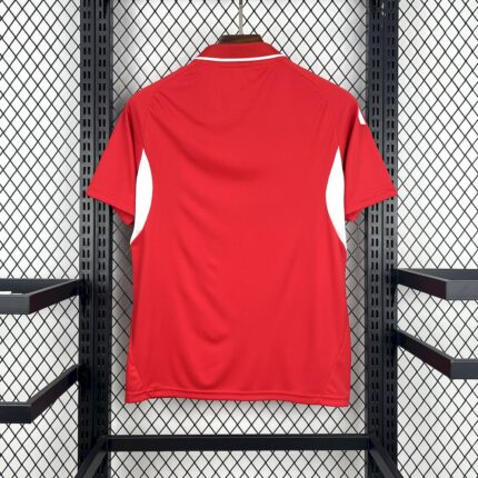 Mens Sevilla FC 2025/26 Red Travel Polo Jersey 1