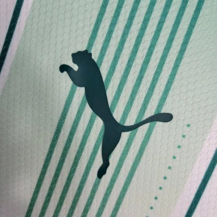 Mens Palmeiras 2023/24 Away Long Sleeve Jersey 3