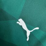 Mens Palmeiras 2023/24 Home Long Sleeve Jersey 6